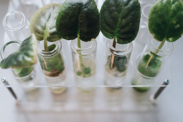 Daily Prompt Pack: Growth Experiments - Pick Your Next Test in One Hour